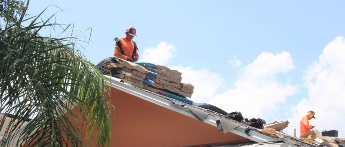 skymark_roof_installers Skymark team laying shingles for a new roof